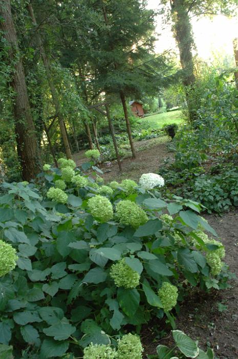 LeJardindeMmeDeville (17)